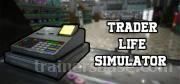 Trader Life Simulator Trainer