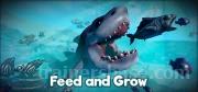 Feed and Grow: Fish Trainer