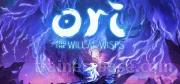 Ori and the Will of the Wisps Trainer