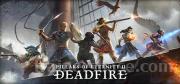 Pillars of Eternity II: Deadfire Trainer