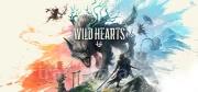 WILD HEARTS Trainer