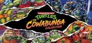 Teenage Mutant Ninja Turtles: The Cowabunga Collection Trainer