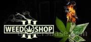 Weed Shop 3 Trainer